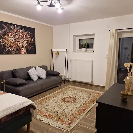 Lejlighed Zentrale Und Barrierefreie Mit Terrasse *